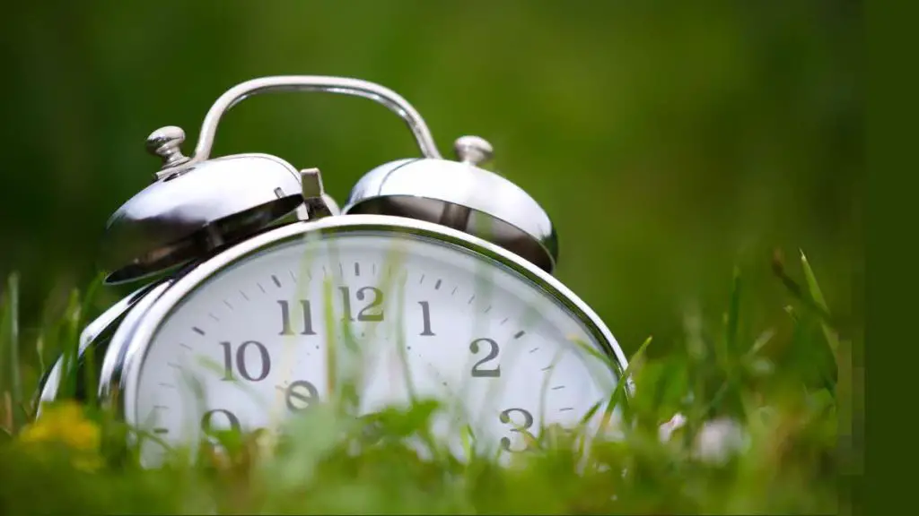 Daylight Saving