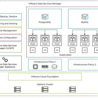 VMware Data Services Manager Architecture